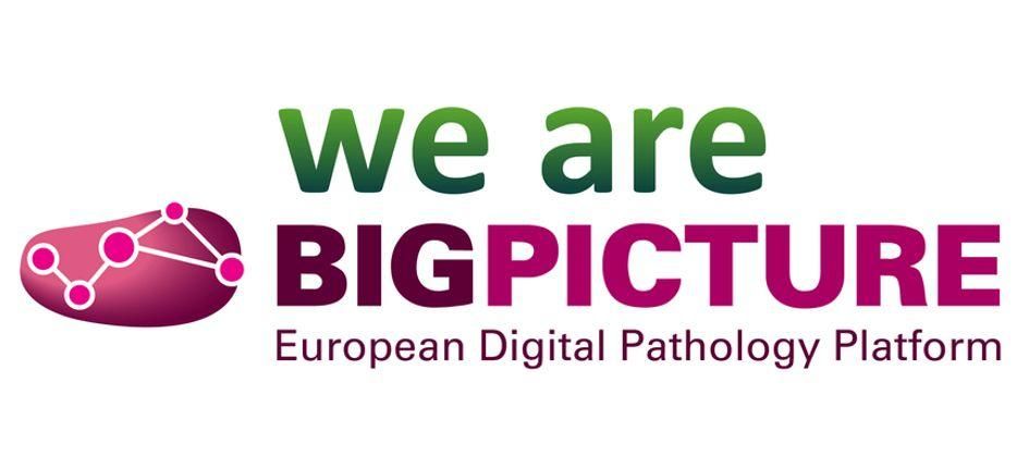 BIGPICTURE project graphic